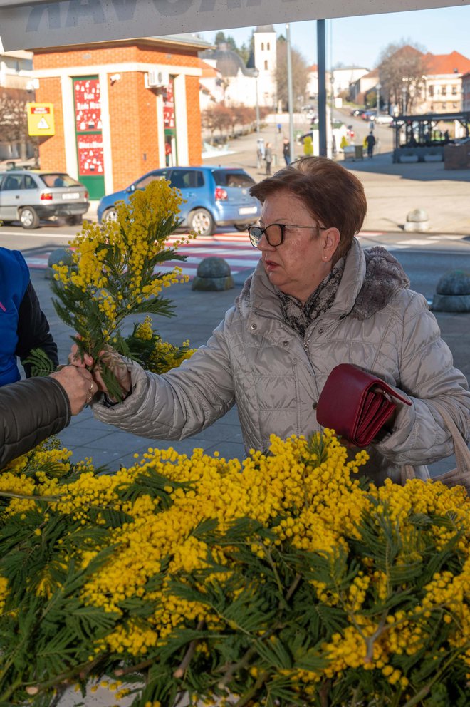 Foto: Predrag Uskoković/Grad Daruvar