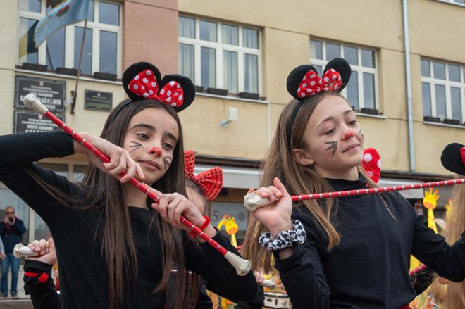 Maškare u Daruvaru/ Foto: Predrag Uskoković/ Grad Daruvar