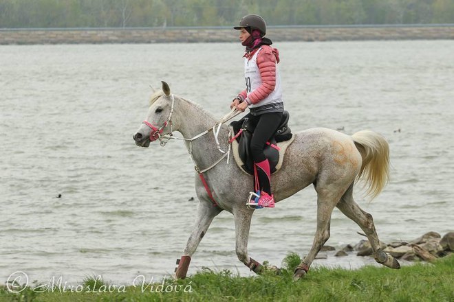 Foto: Ustupila Laura Šapić Vodogažec