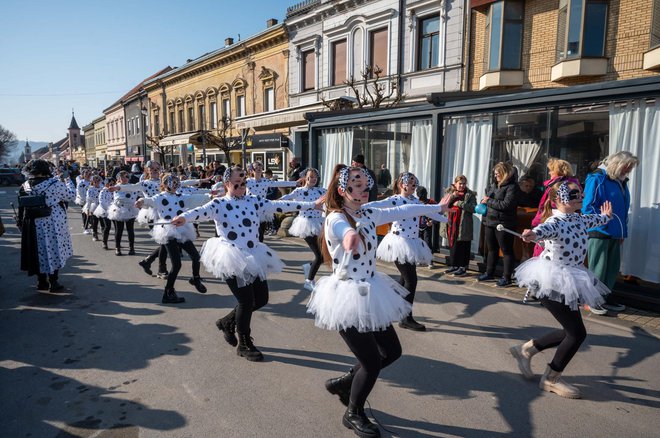 Foto: Predrag Uskoković/Grad Daruvar