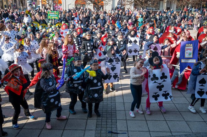 Foto: Predrag Uskoković/Grad Daruvar