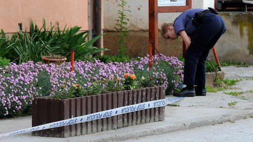 Provalio u obiteljsku kuću u Daruvaru pa ukrao veću količinu zlatnog nakita i novac